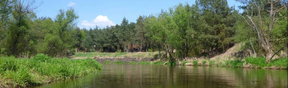 Rzeka Drzewiczka na trasie Odrzywół - Nowe Miasto (ujście do Pilicy)