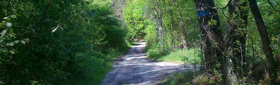 Trasy rowerowe Mielec i okolice Trasa Nr.37 Przez lasy do Huciny i Niwisk