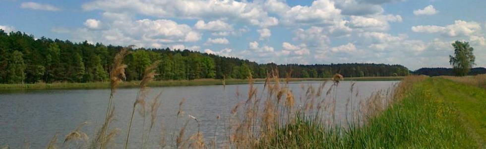 Trasy rowerowe Mielec i okolice Trasa Nr.43 Nad stawy Krasiczyńskie i Babulskie