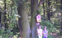 postój przy kapliczce na drzewie