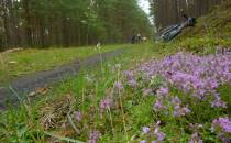 Trasa niebieskiego szlaku rowerowego (Bydgoszcz - Chojnice) przez Park Narodowy Bory Tucholskie