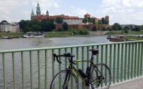 Widok na Wawel