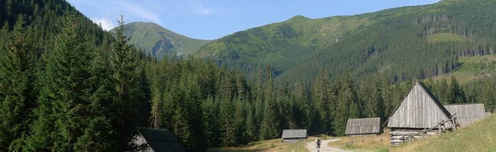 TATRY-siwa polana-wolowiec-grzes-schronisko-11.08.2014