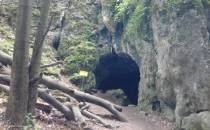 jaskinia  niedźwiedzia