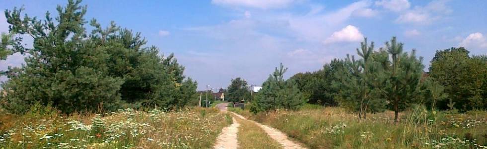 Trasy rowerowe Mielec i okolice  Szlak Orlich Gniazd  Ogrodzieniec-Krzeszowice