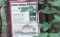rezerwat konika polskiego