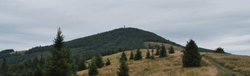 BESKID WYSPOWY - Mogielica