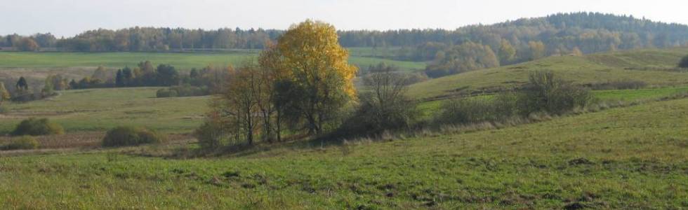 Spacer dookoła Pruszcza Gdańskiego