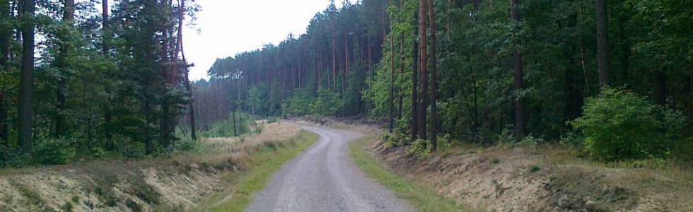 Trasy rowerowe Mielec i okolice Trasa Nr.58  Trasa leśna dla początkujących