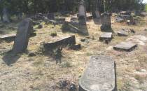 Cmentarz w Anielinie