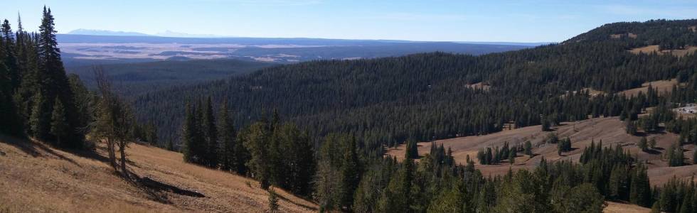 Mt Washburn Lookout Tower Trail