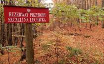 Rezerwat Przyrody Szczelina Lechicka