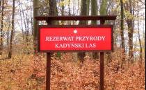 Las Kadyński