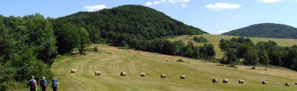 Beskid Niski - Szlakiem Baz namiotowych i schronisk