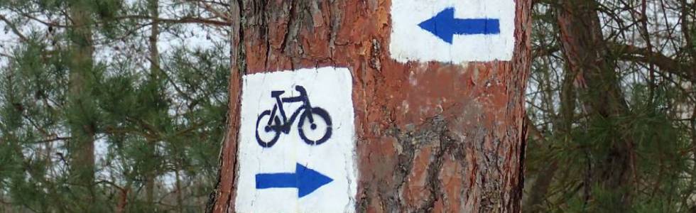 Szlak rowerowy dookoła Wyspy Sobieszewskiej