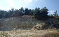 Stare Górniki - wyrobisko piasków mioceńskich