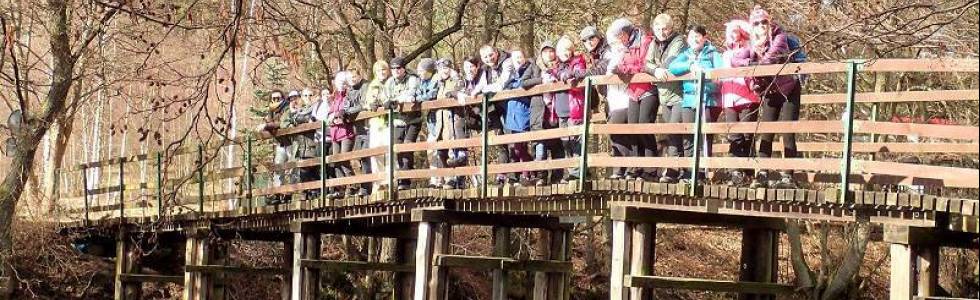 Wdzydzki Park Krajobrazowy / pętla z Czarliny