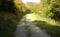 droga w kierunku Góry Borówkowej