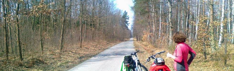 Trasy rowerowe Mielec i okolice Trasa Nr.33  Lasami przez Ziemię Świętokrzyską