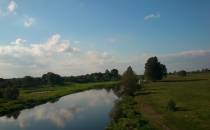 Narew