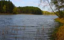Jezioro Małe Krzywce