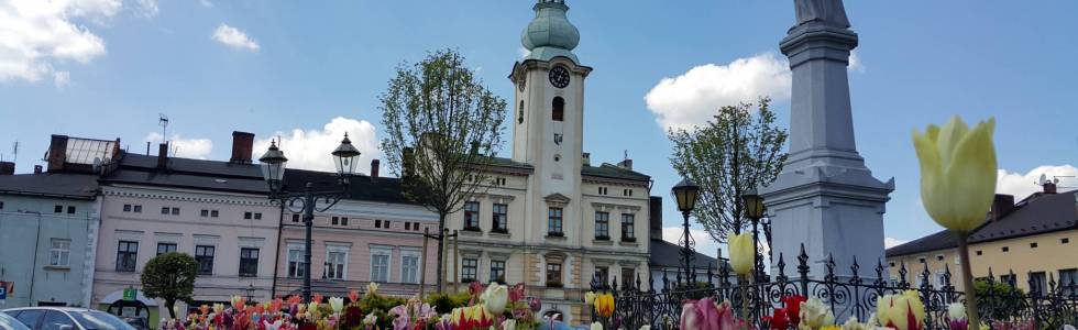 Trasa rowerowa Strumień-Jaworze (192 C).