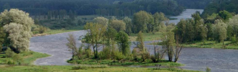 Doliną Bugu