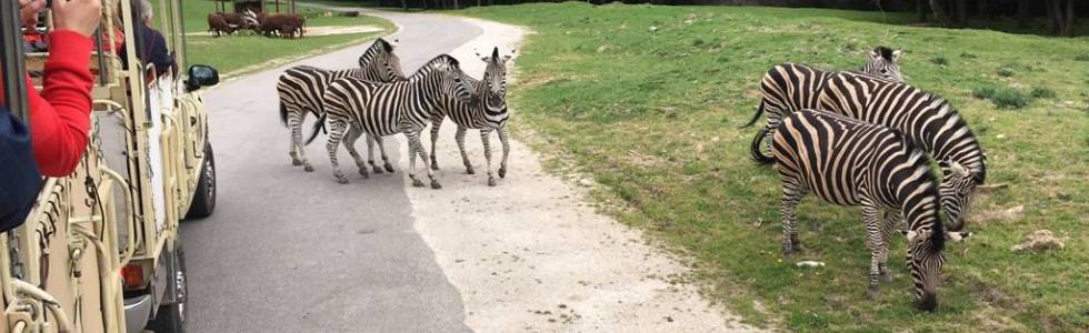 Moto wycieczka do ZOO Dvůr Králové