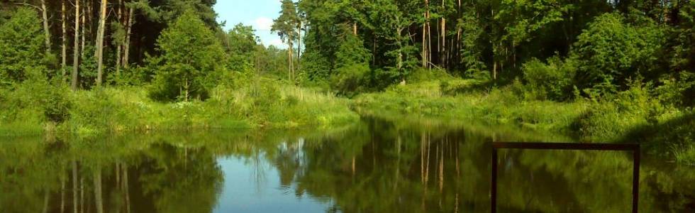 Bolimowski Park Krajobrazowy. Wzdłuż Korabiewki