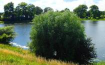 Malowniczy widok na jeziorko i okalające go łąki