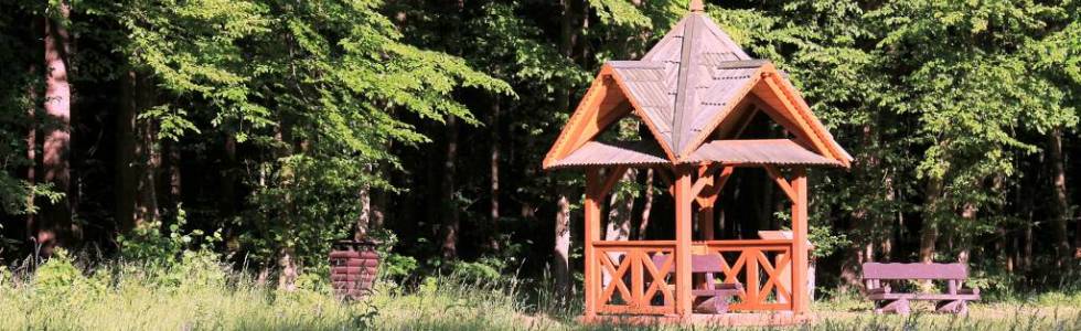 Białowieski Park Narodowy - Carska Tropina