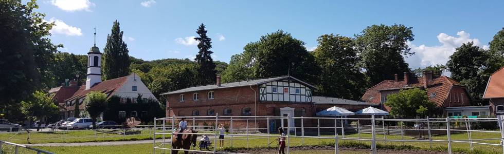 Krynica Morska - Kadyny - Raczki Elbląskie - Elbląg