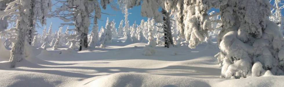 Pokochać zimę w Górach Bialskich