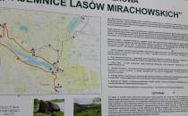 Tablica informacyjna dot Lasów Mirachowskich