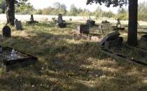Molestowice - stary cmentarz
