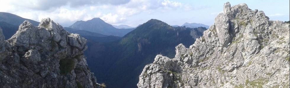 Zakopane Dolina Białego Sarnia Skała Dolina Strążyska