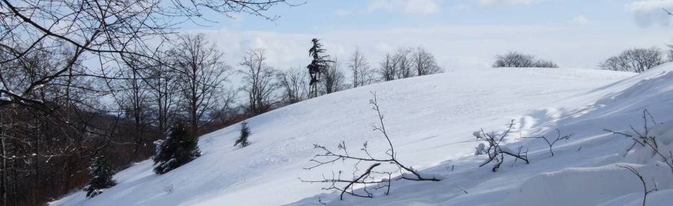 2010-01-30 Srebrna Góra