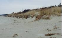 Długa, piaszczysta plaża