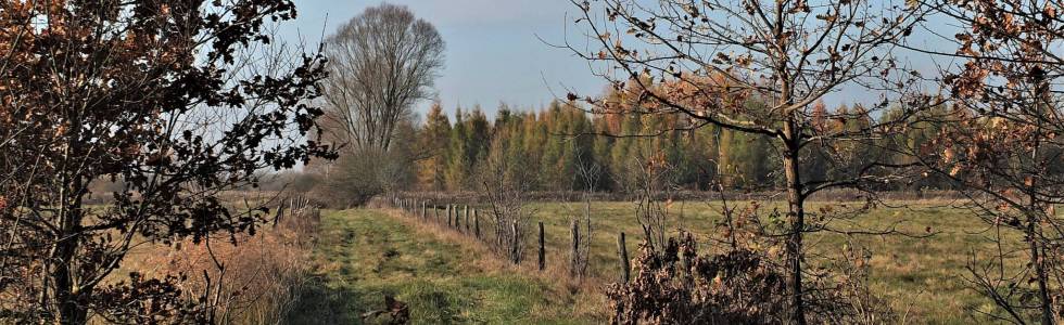 2016-11-13 Brzezie, Gruszeczka, Skoroszów