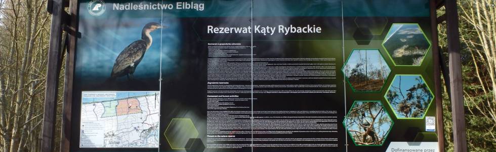 Rezerwat Kąty Rybackie - Kwiecień 2018