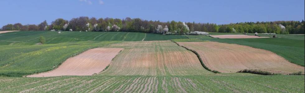 Zamość Skierbieszów Zamość na okrągło