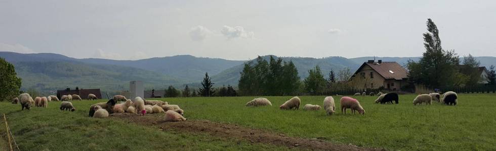 Runda wokół Bielska-Białej.