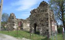 Ruiny kościoła św. Anny XIII w.