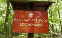 Rezerwat Przyrody Szachownica