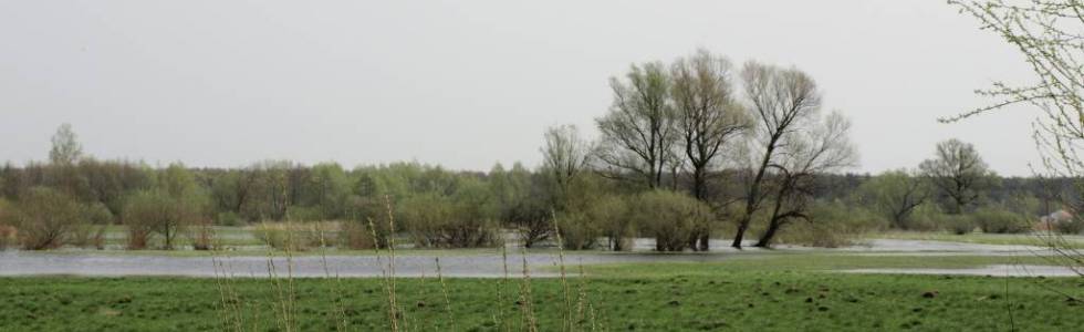 Rajd pieszy na trasie Jaszczów - Łęczna