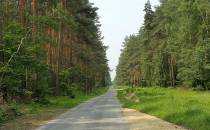 Ścieżka rowerowa przez las pszczyński.