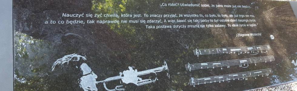 Do Chałup - miasta Zbigniewa Wodeckiego.