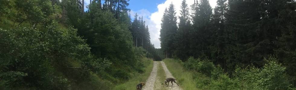 Chatka Trapera - Kowadło (drogą „nad wsią” - Chatka Trapera (szlakiem granicznym)