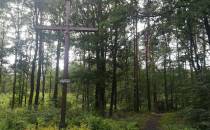 Leśny krzyż i pomnik