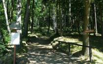 Park Północny - Polana Oddechowa (joga)